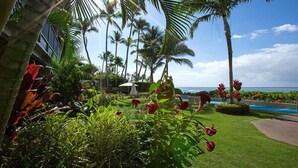 A lush garden with palm trees and red flowers, a pool, and a view of the ocean. - Hale Napili (Lahaina)