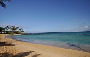 Une plage avec une eau turquoise et limpide, des palmiers et une personne qui se promène sur le sable.