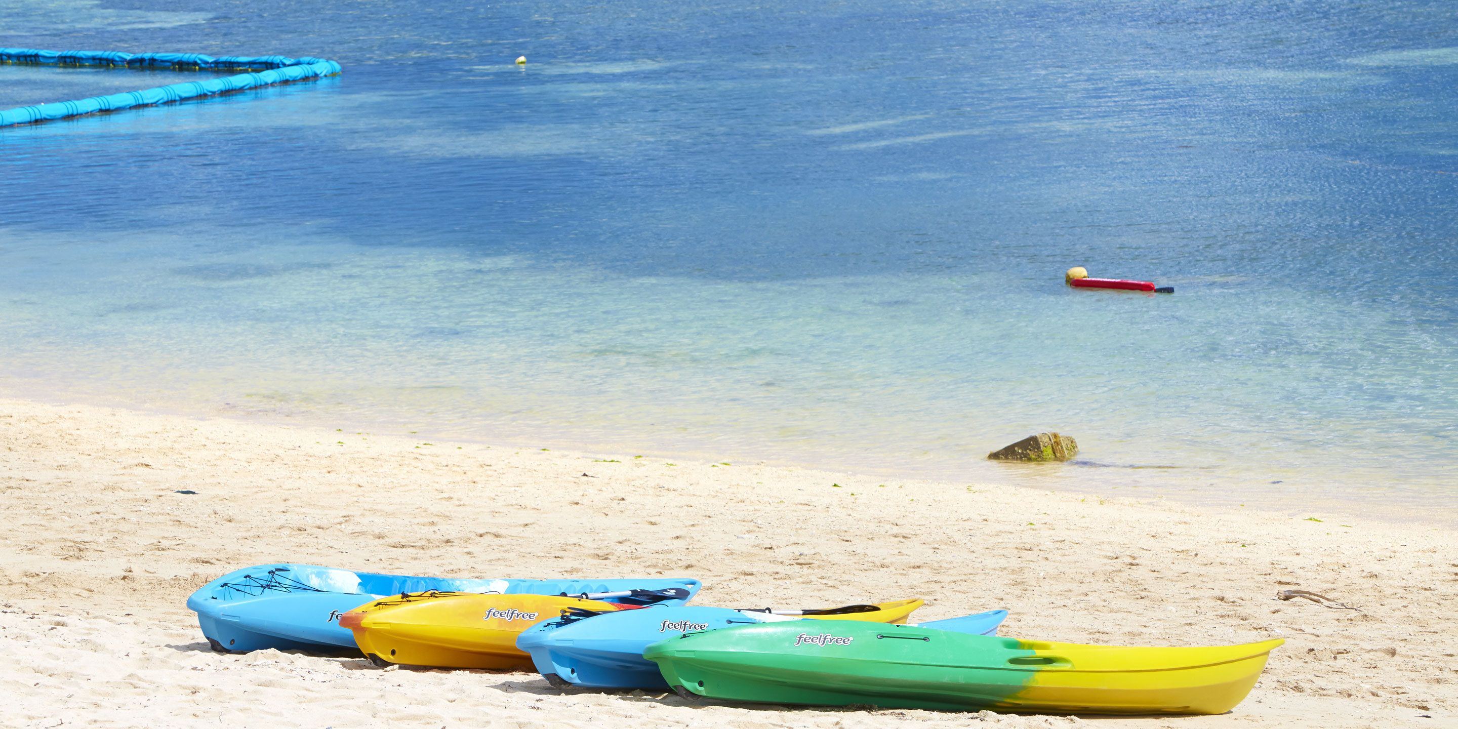 Kayaks alineados en una playa arenosa cerca del agua.