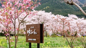 A sign with Japanese characters in a natural setting with cherry blossoms. - Pension Yufuin (Yufu)