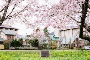 Un quartier résidentiel avec des maisons, un champ d’herbe et des cerisiers en fleurs.