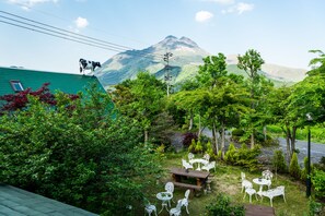 Vista des de l'habitació