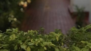 A narrow pathway leading through a lush green garden area.