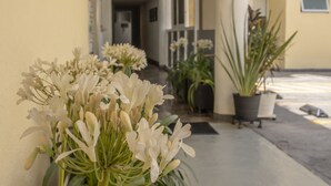A hallway with potted plants and flowers, leading to a building entrance. - Hotel Emperador Centro Guadalajara y Remodelado (Guadalajara)