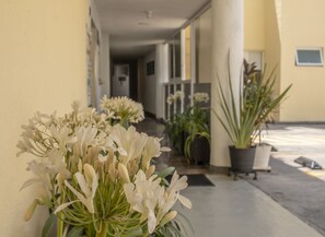 Majoituspaikan sisäänkäynti