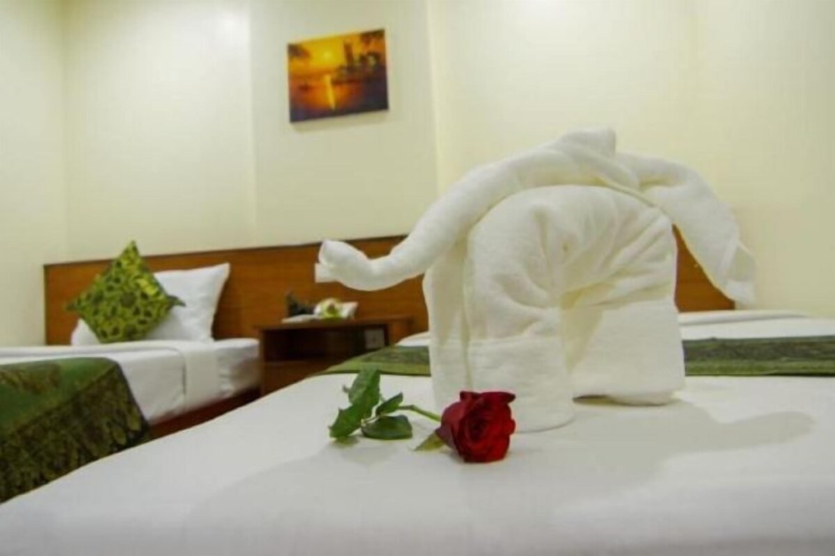 A hotel room with a neatly made bed, a green throw blanket, and a single red rose on the bed.