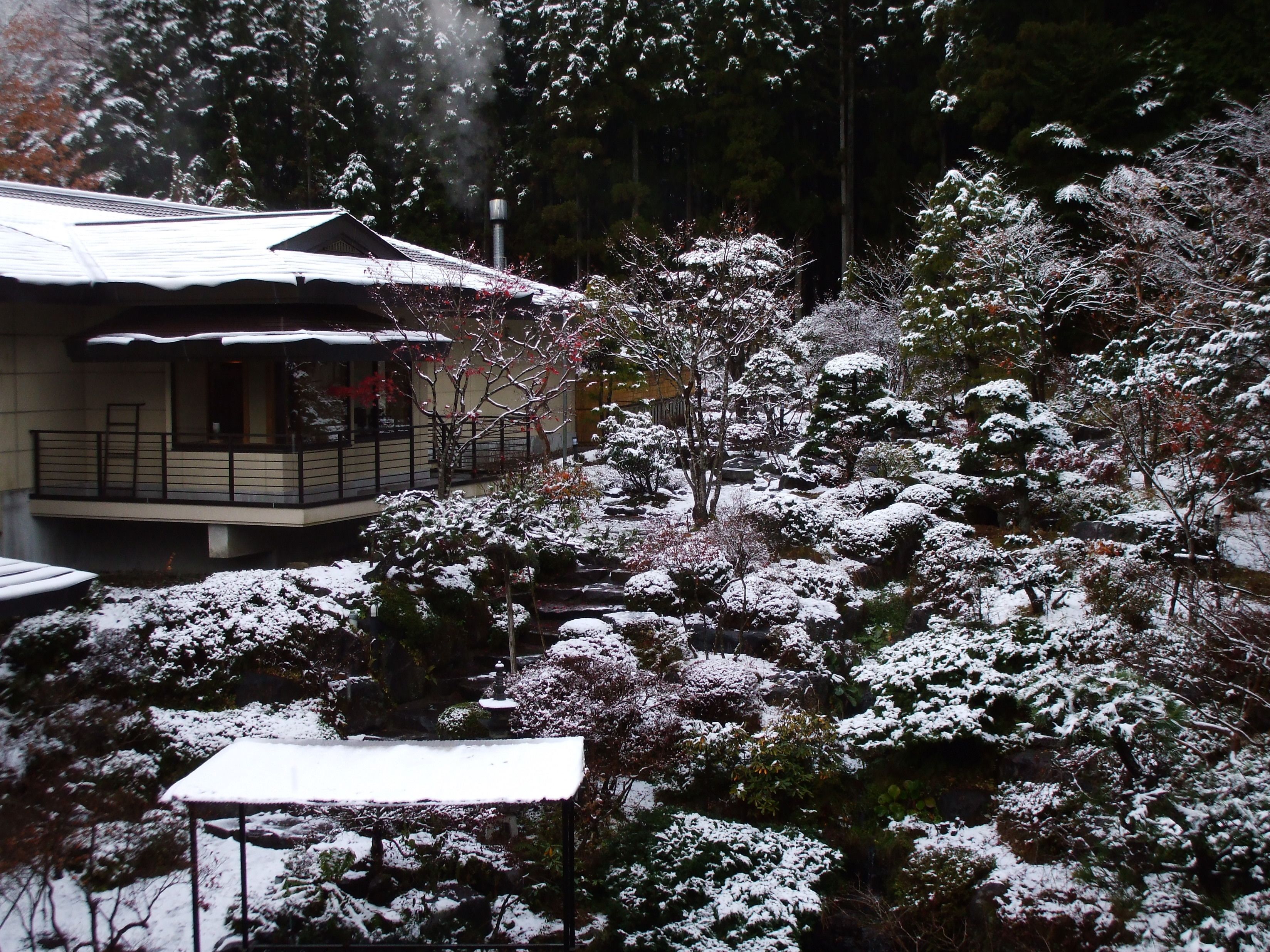 庭園