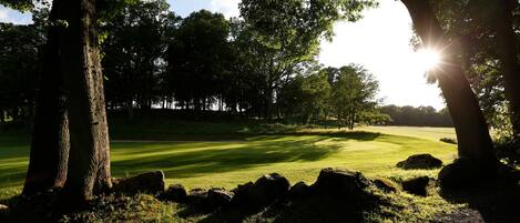 Un campo de golf con árboles y rocas.
