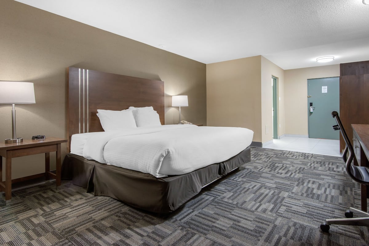 Standard Room, 1 King Bed, Non Smoking (Shower) | Desk, laptop workspace, blackout drapes, iron/ironing board