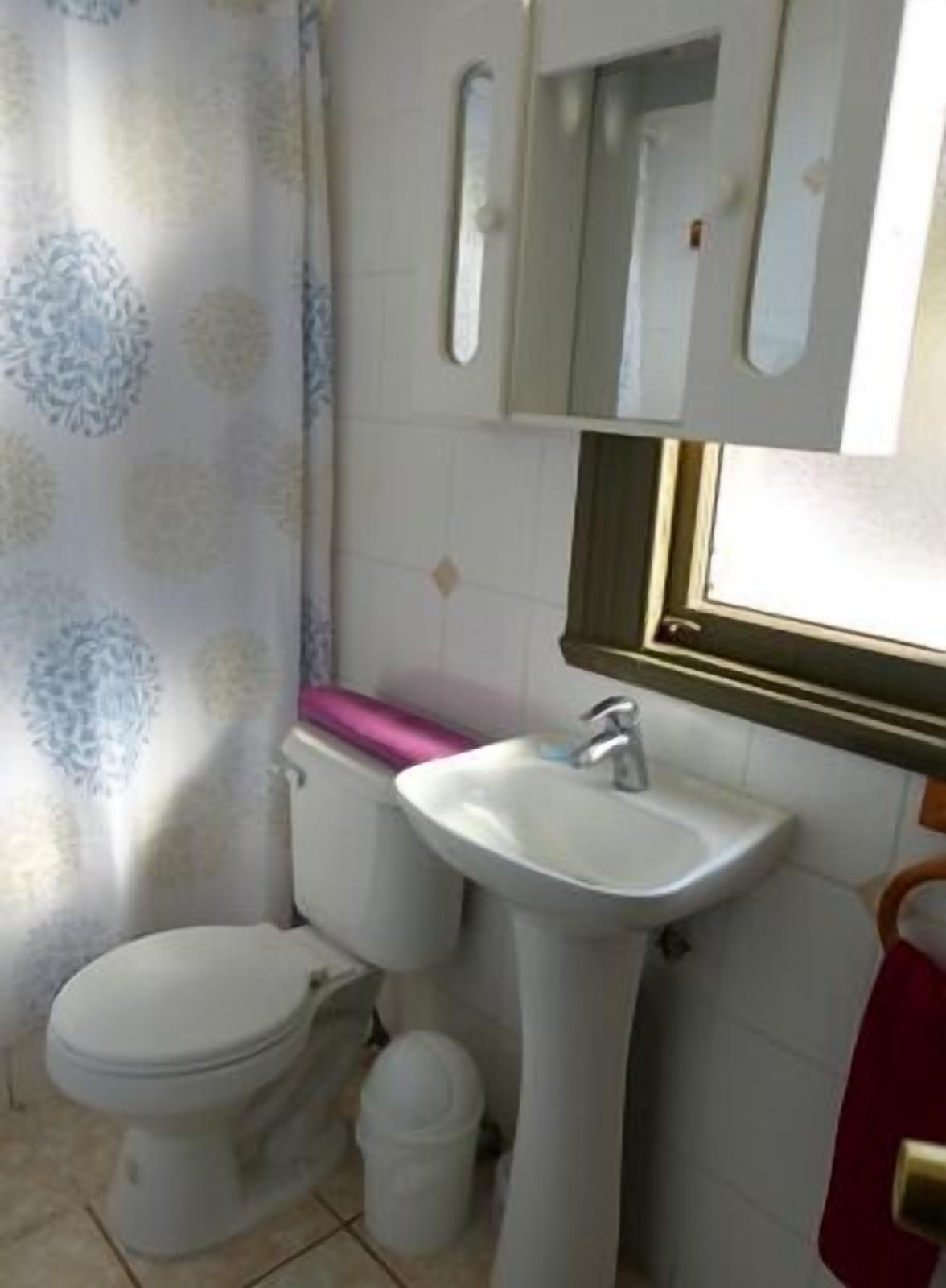 A bathroom with a toilet, sink, and a mirror above the sink.