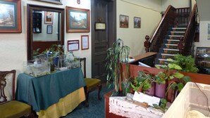 A room with a staircase, framed pictures on the wall, a table with a green tablecloth, and various plants.