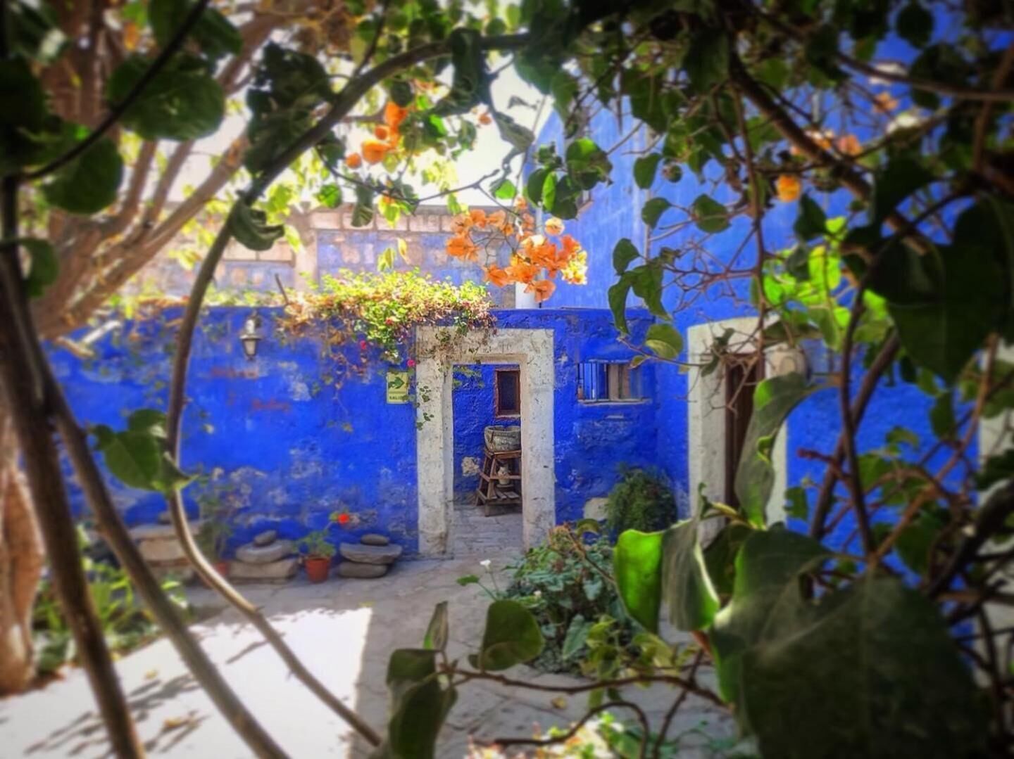 Photo - La Casa de Melgar