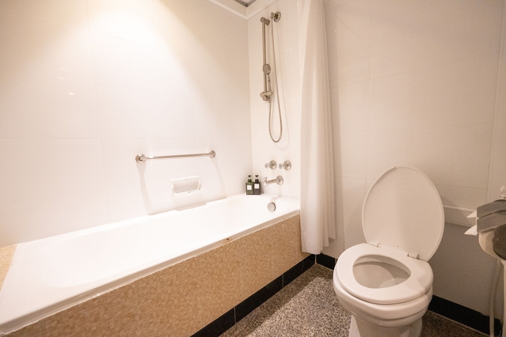 Une salle de bain avec une baignoire, des toilettes et une douche.