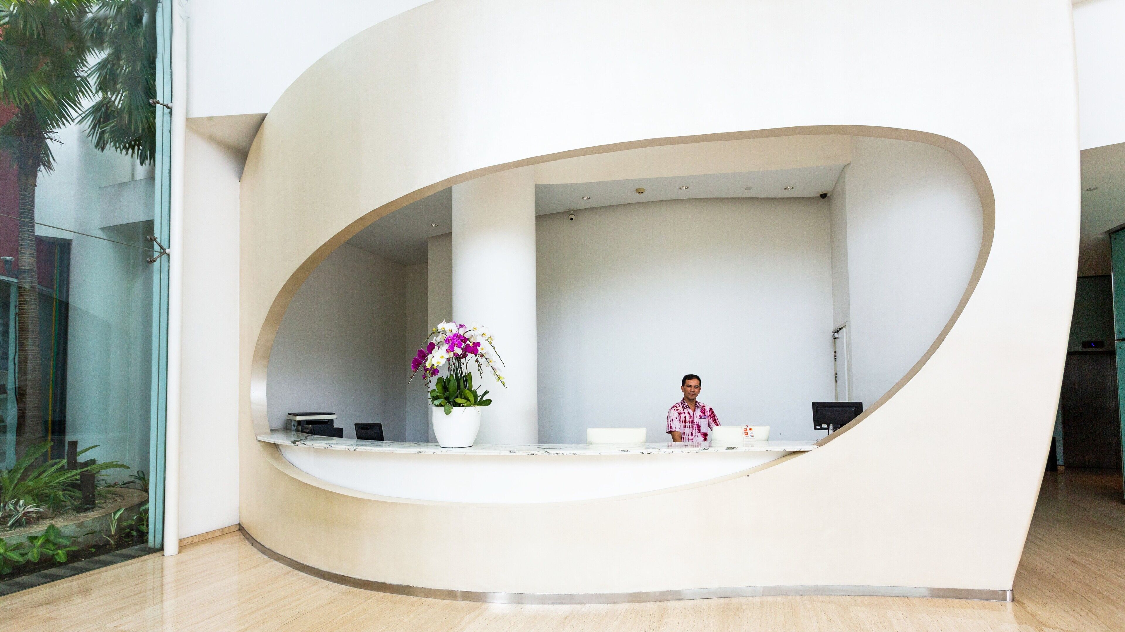A reception desk with a curved design, a potted plant, and a laptop.