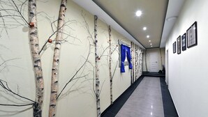 Un pasillo con arte mural de abedul, una cortina azul y cuadros enmarcados.