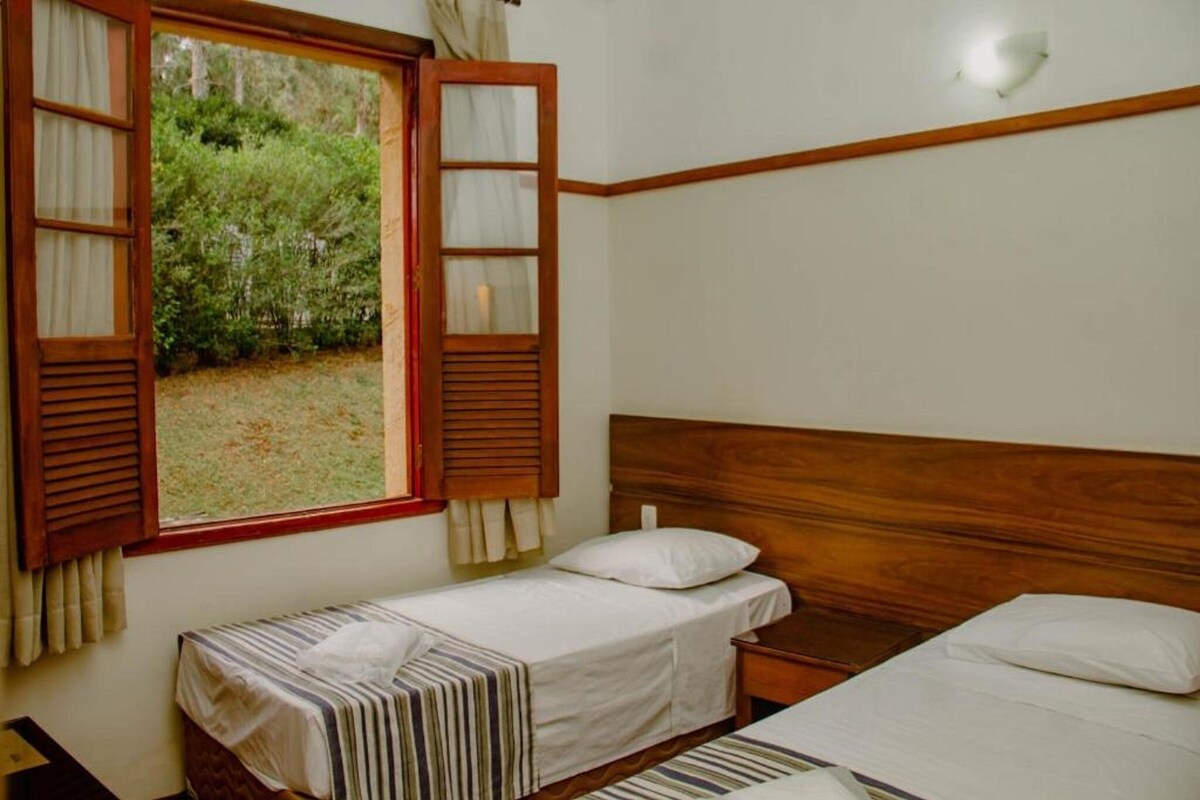 A bedroom with two beds, a wooden headboard, a window with open shutters, and a view of greenery outside.