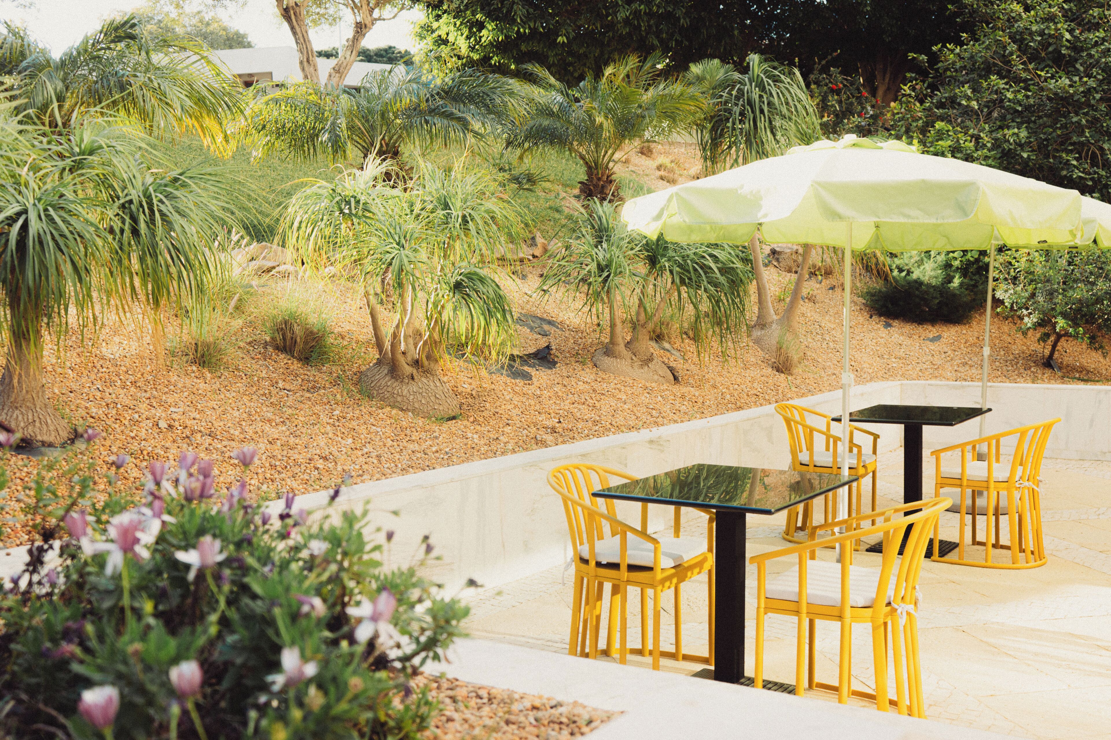 Een terras buiten met gele stoelen en een tafel, omringd door verschillende planten en bomen.