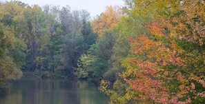 Un lago sereno rodeado de árboles con follaje otoñal.