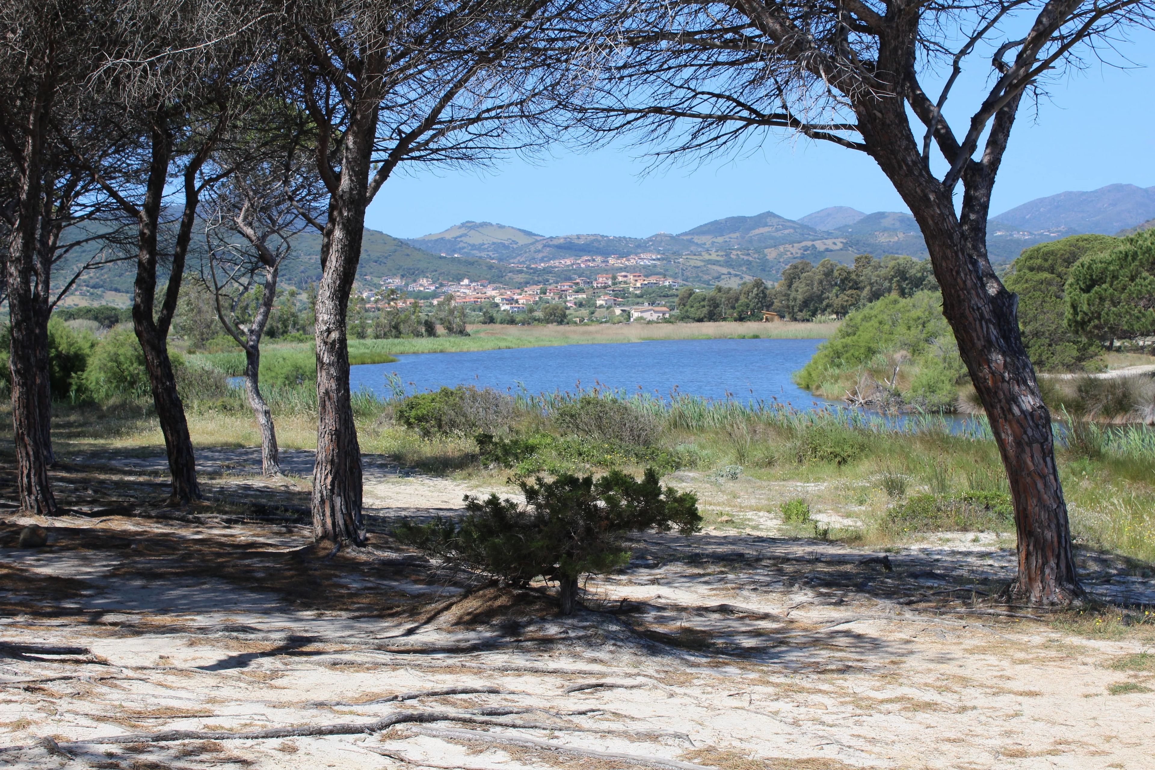 Vista de un lago con árboles y un pueblo distante.