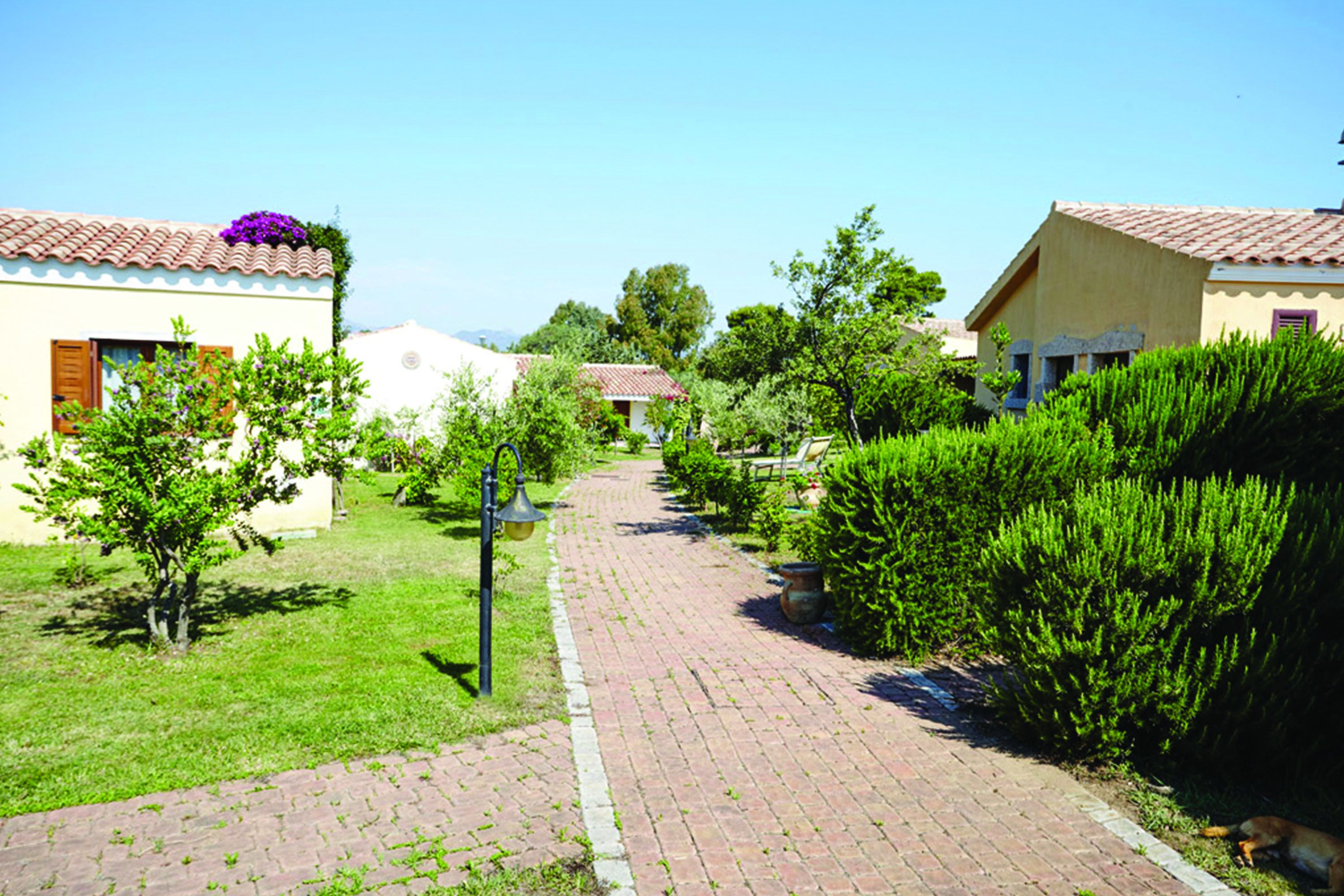 A pathway leading to a row of houses with tiled roofs and small gardens.