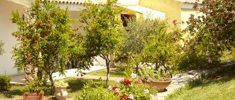 A courtyard with potted plants and a pathway leading to a building with a tiled roof.