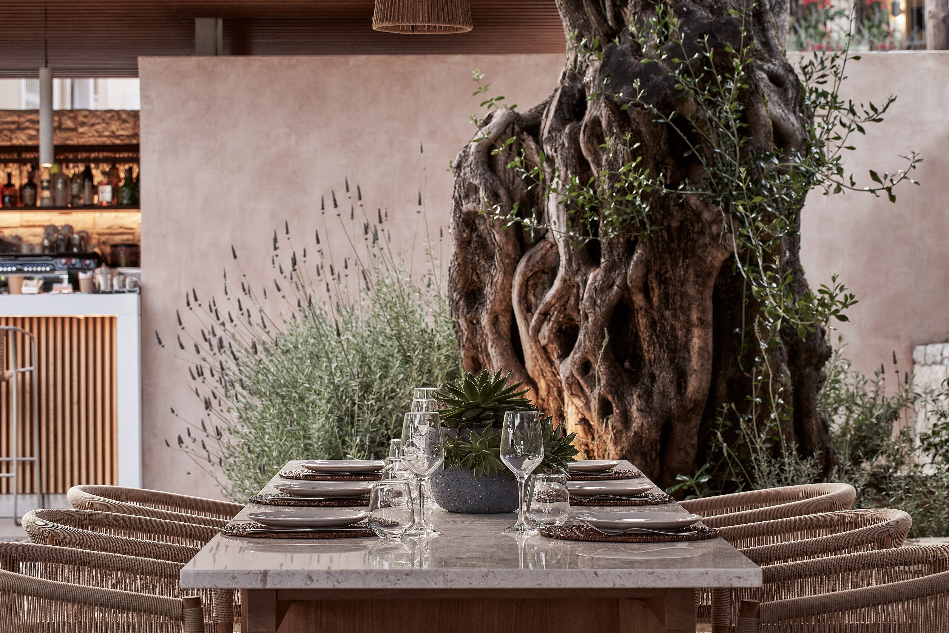 Een eettafel gedekt met borden, glazen en een decoratie van vetplanten, omringd door rieten stoelen, met een grote boomstam en begroeiing op de achtergrond.