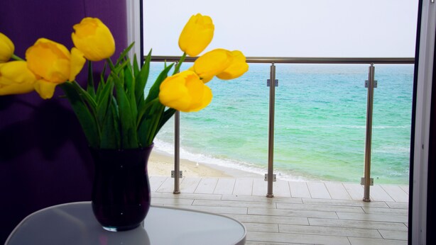 Un balcón con vista al mar, una maceta con flores amarillas y una pared morada.