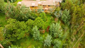 A large, multi-story building surrounded by dense greenery, with a well-maintained lawn and several trees.