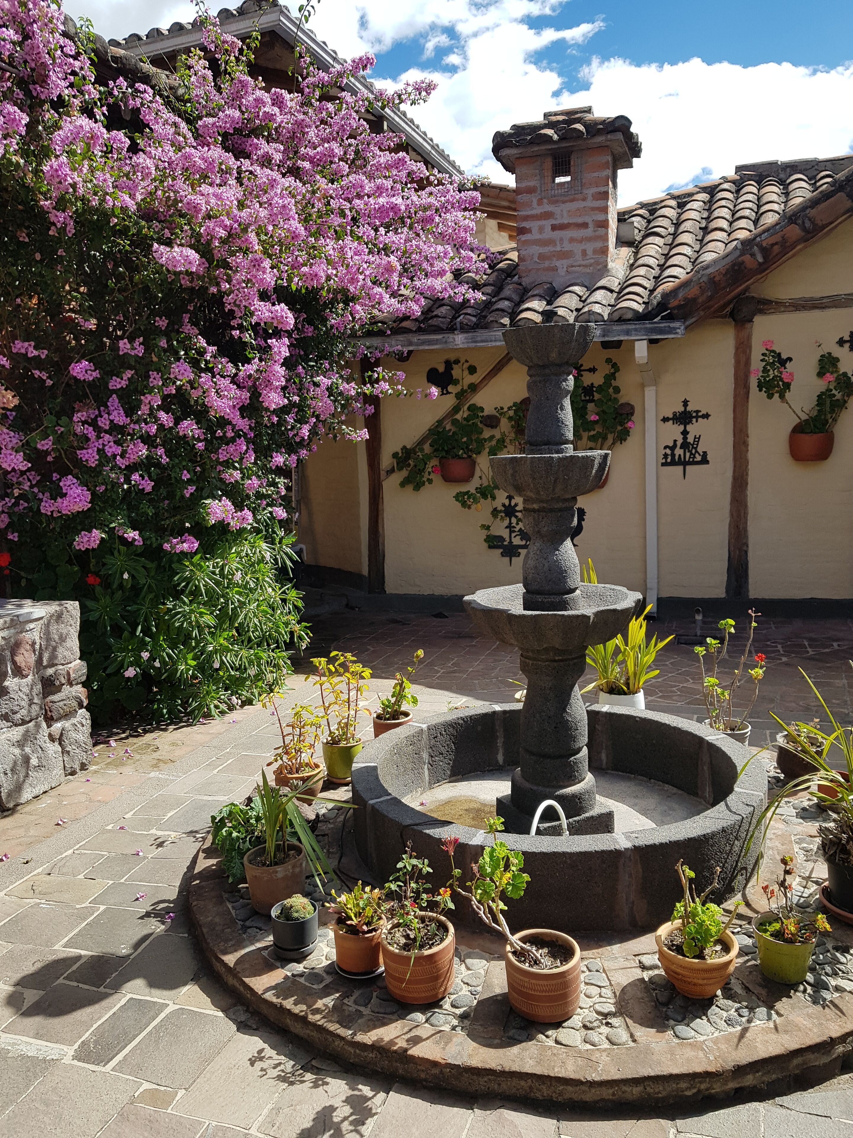 Una fuente de piedra rodeada de plantas en macetas en un patio con tejado de baldosas y pared con detalles decorativos.