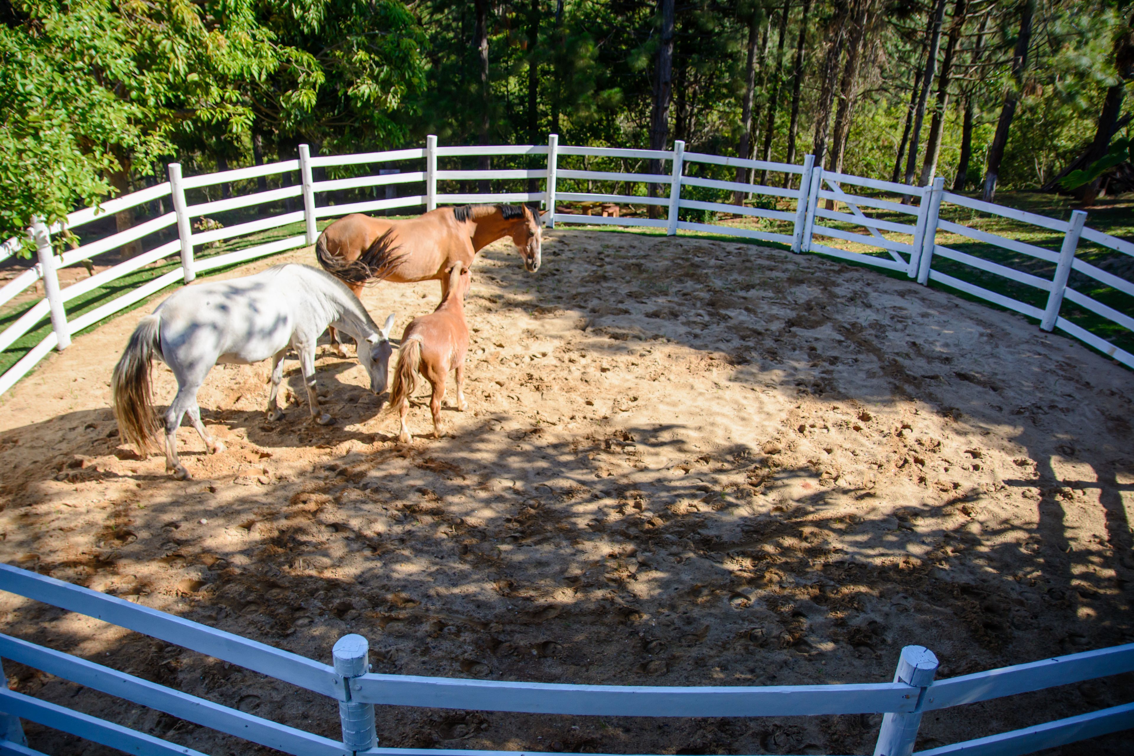 children’s activities