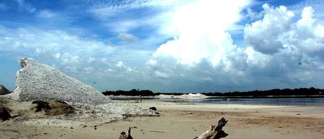 Playa