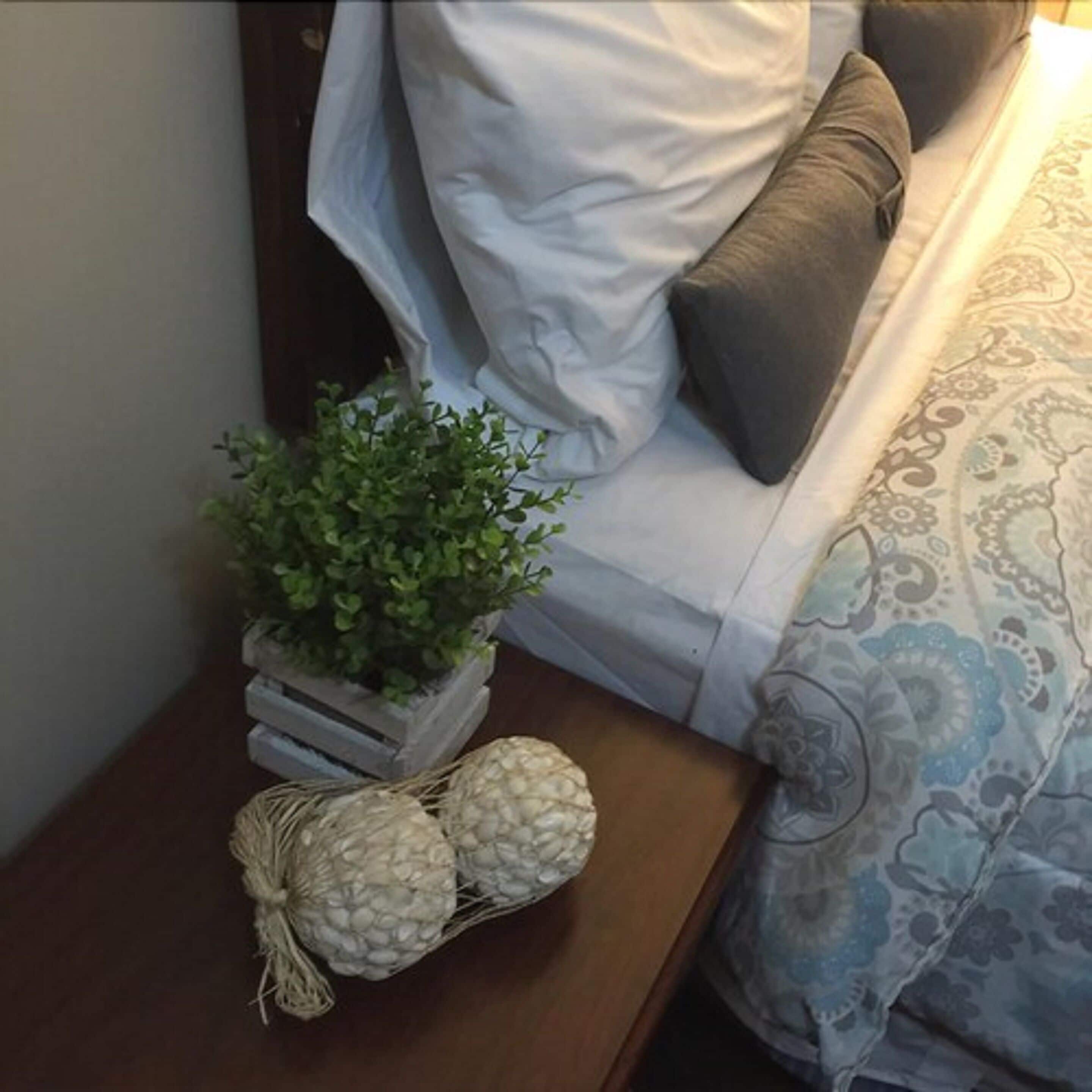 Foto - The Falls Family Lodge