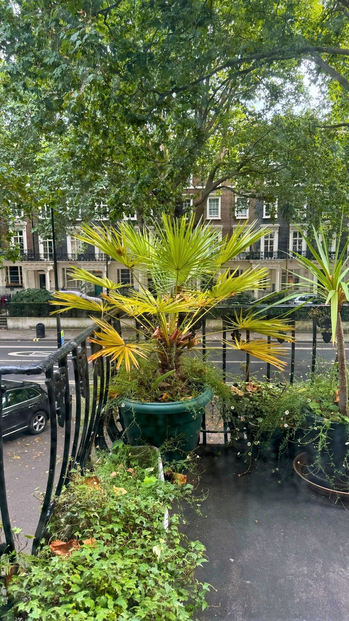 Junior Suite | View from room