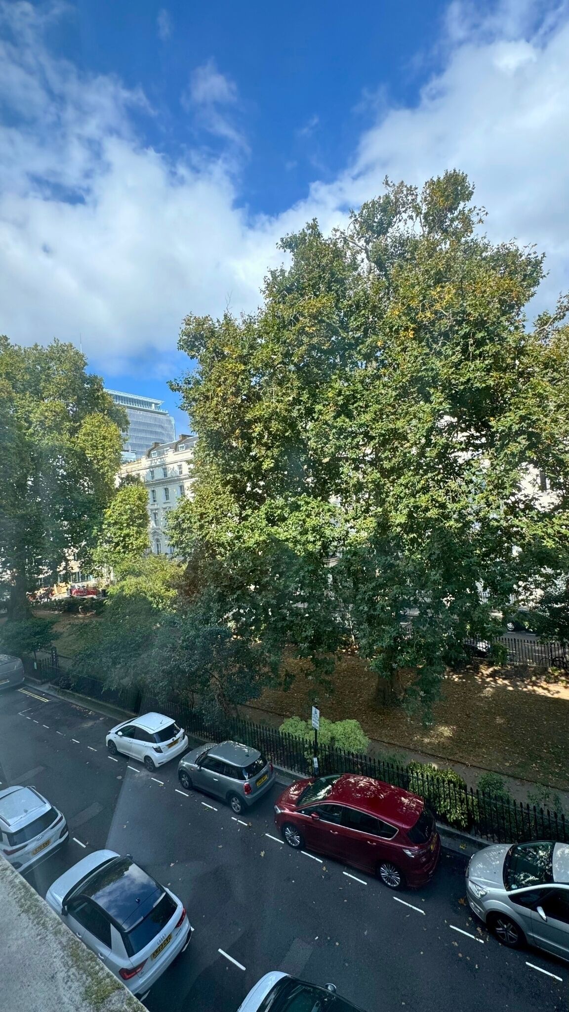 A parking lot with several cars, a large tree, and buildings in the background.