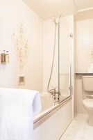 Eco-friendly toiletries, hair dryer, towels, toilet paper