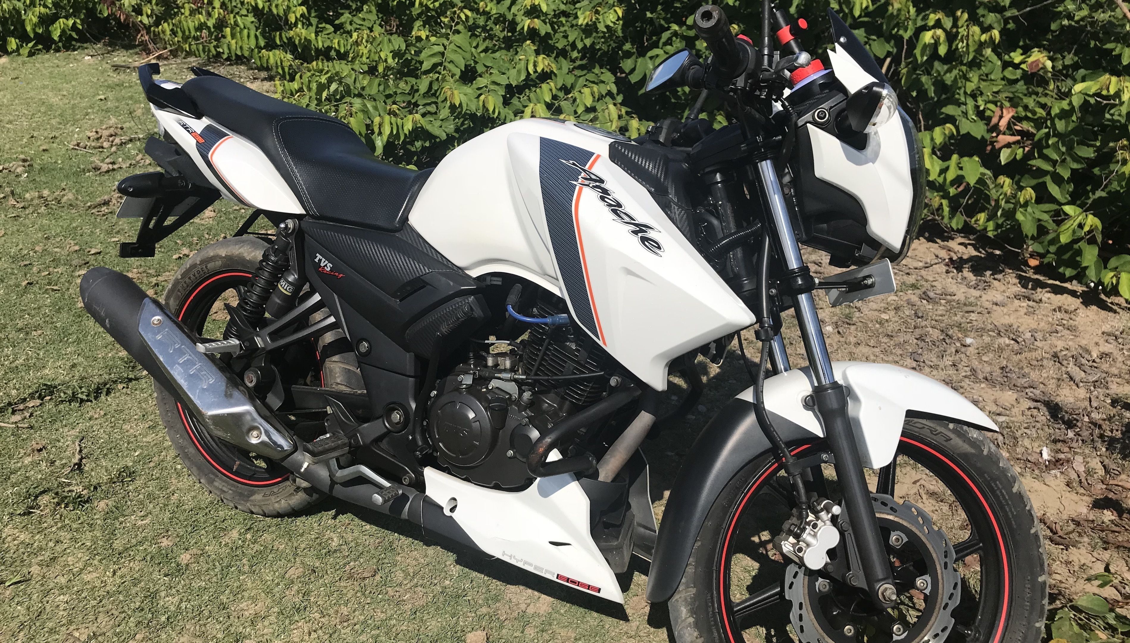 Foto - Garden By The Sea