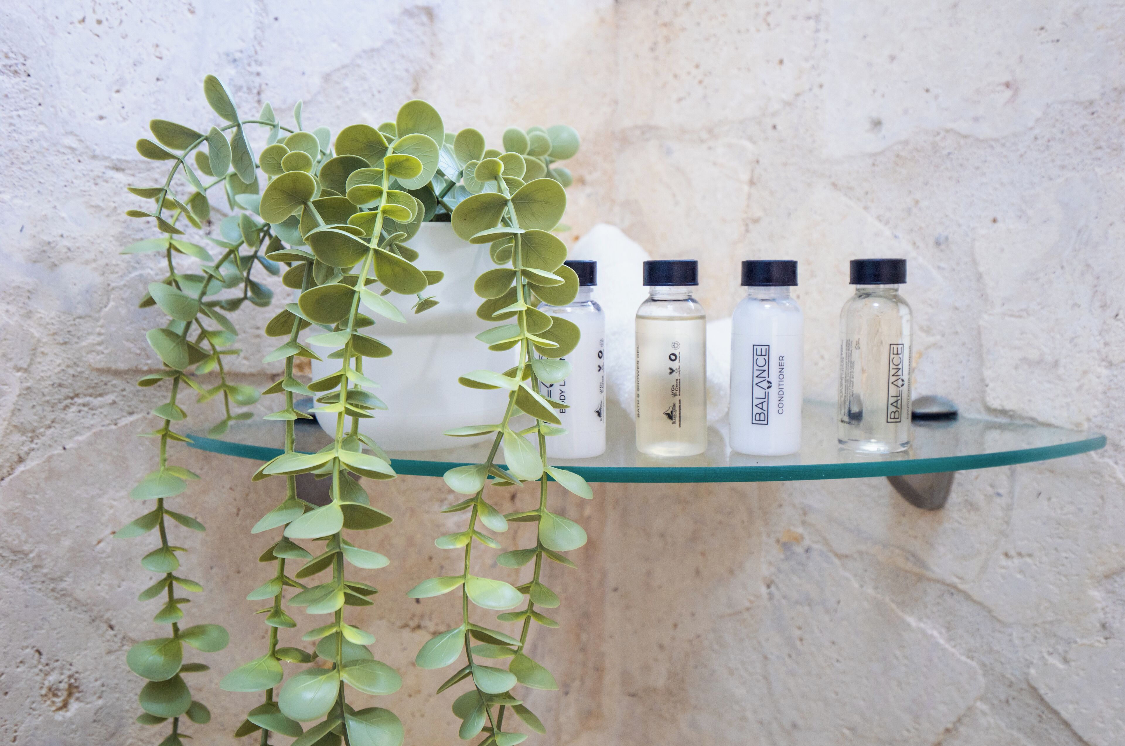 Foto - Garden By The Sea