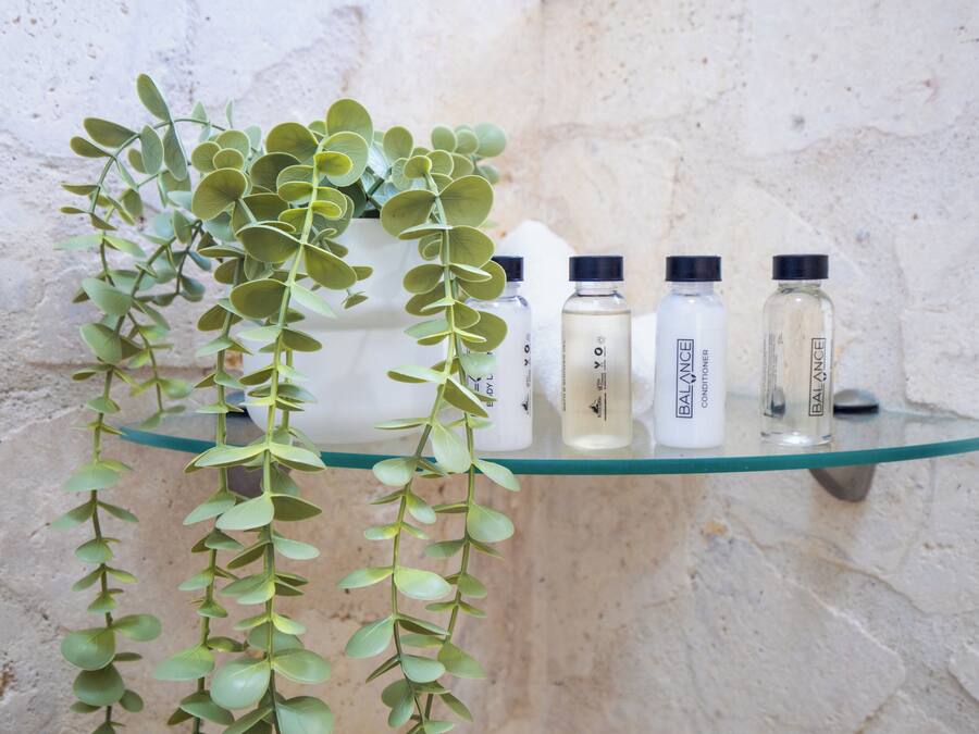 A shelf with three bottles labeled 'BALANCE' and a potted plant.