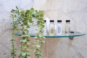 A shelf with three bottles labeled 'BALANCE' and a potted plant.