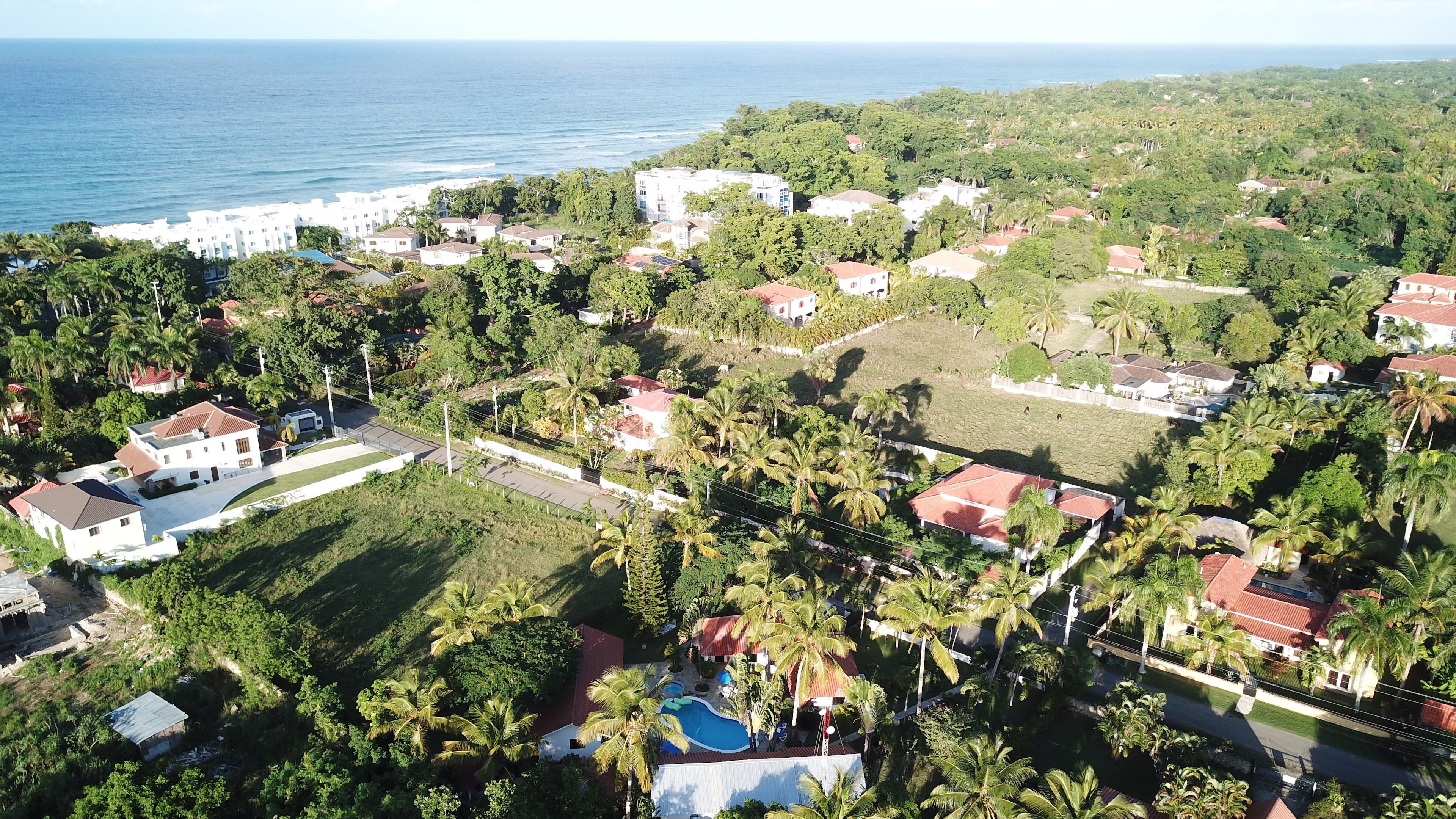 Foto - Garden by the Sea