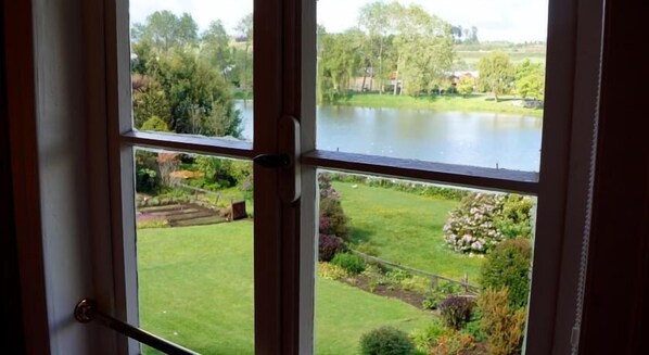 A view through a window of a garden with a pond, trees, and a grassy area.