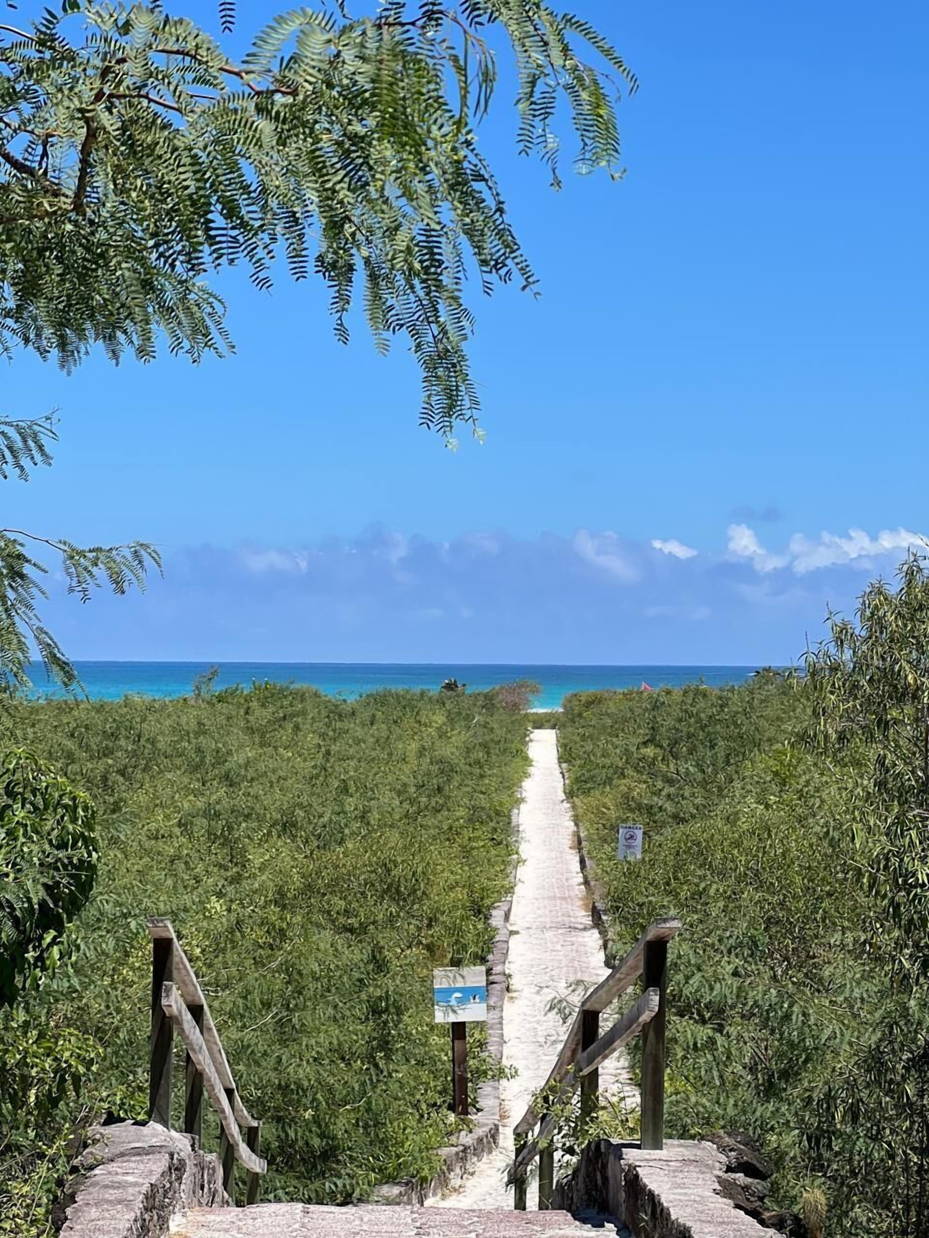 Un sendero que conduce a una playa con vista despejada al océano.