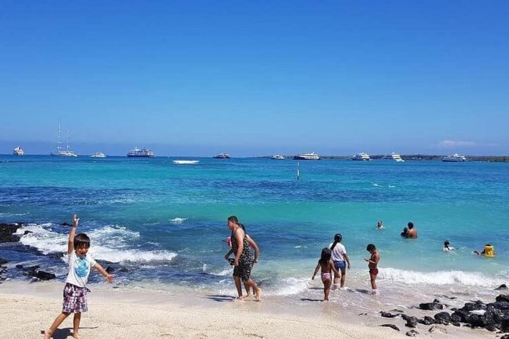 Galapagos Verde Azul