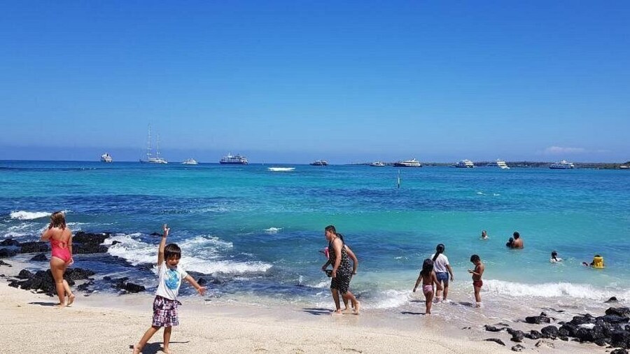 Galapagos Verde Azul