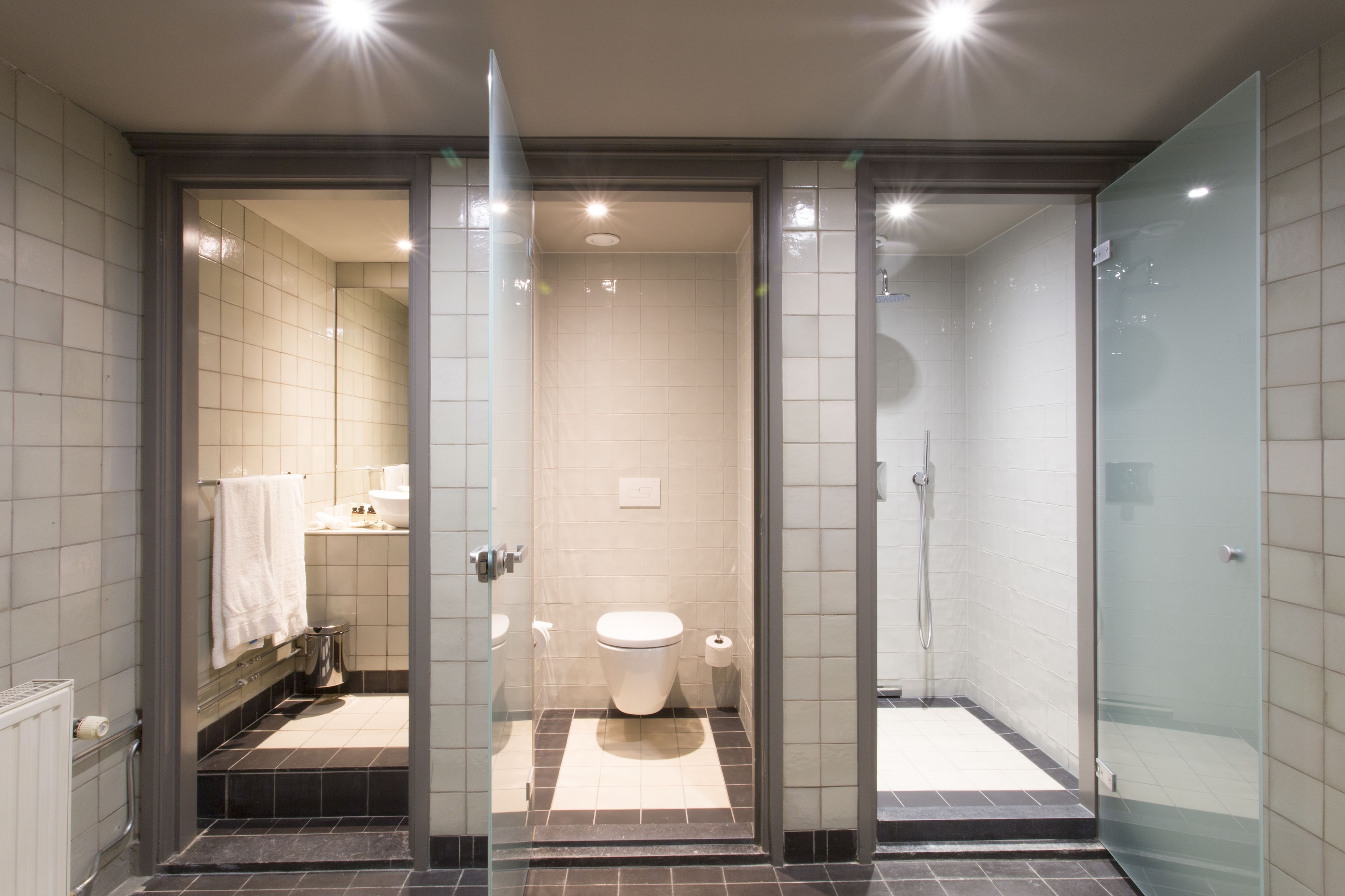 A modern bathroom with a glass-enclosed shower, a toilet, and a sink.