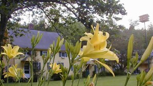 A house with a lawn and yellow flowers in the foreground. - Fiddler's Green Inn (Stowe)