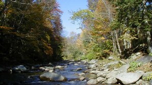 A river flowing through a forested area with rocks and trees. - Fiddler's Green Inn (Stowe)