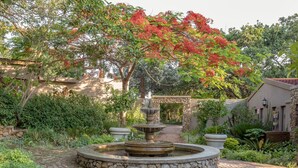 Fontein