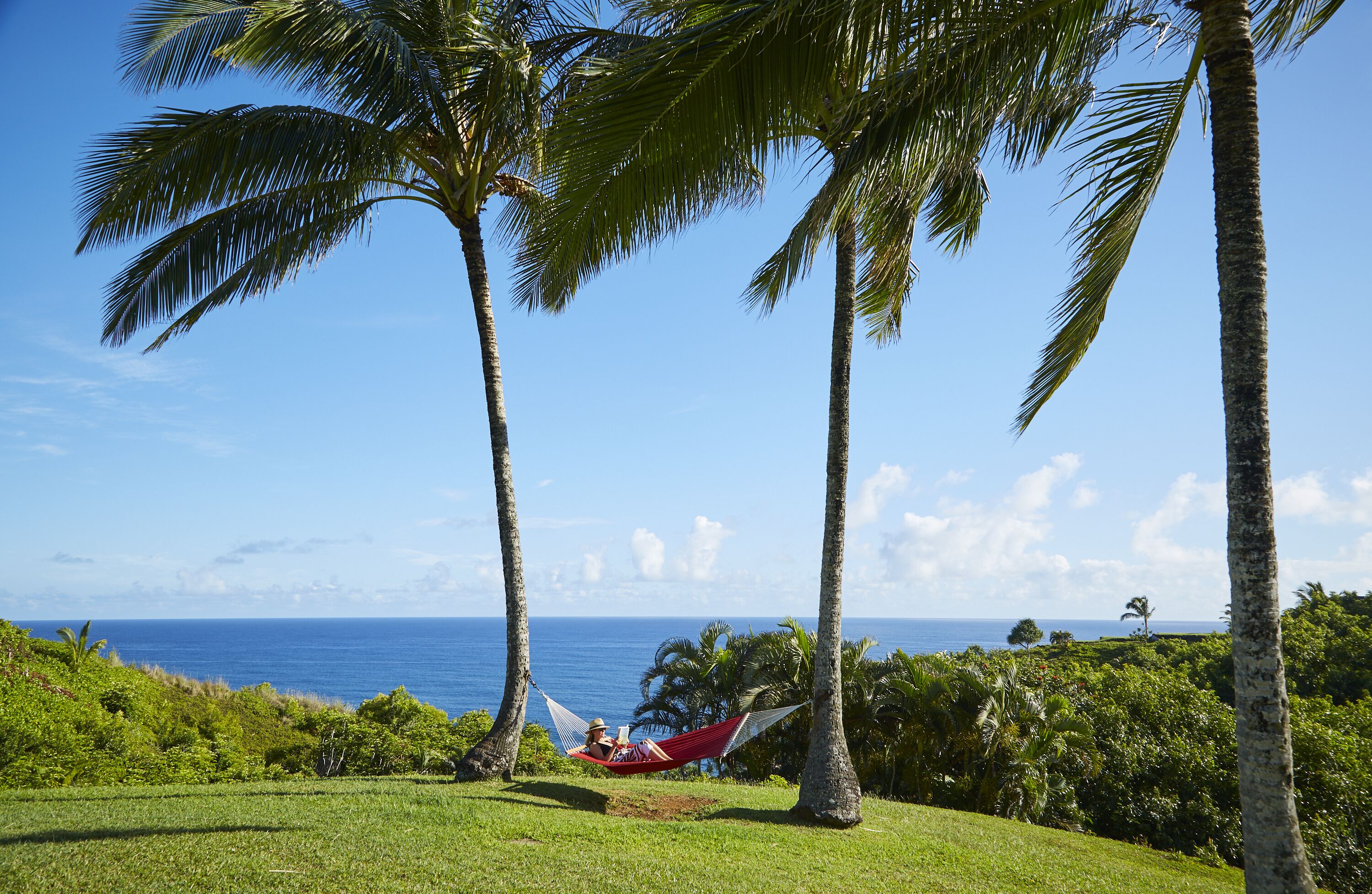 A hammock between palm trees overlooking a beach with clear skies.