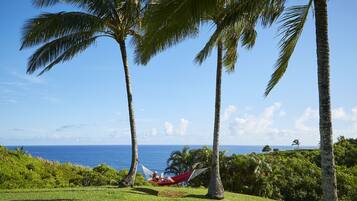 A hammock between palm trees overlooking a beach with clear skies.